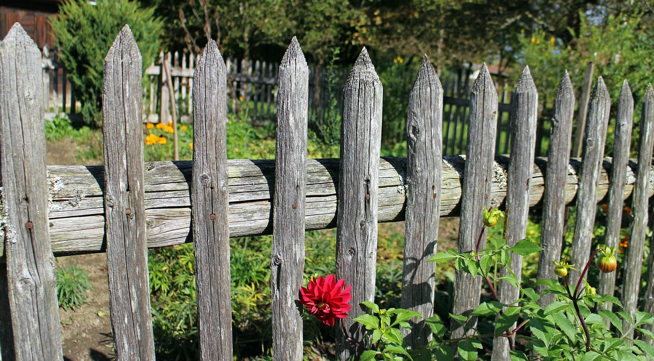 Entretien d'espaces verts - photo 3