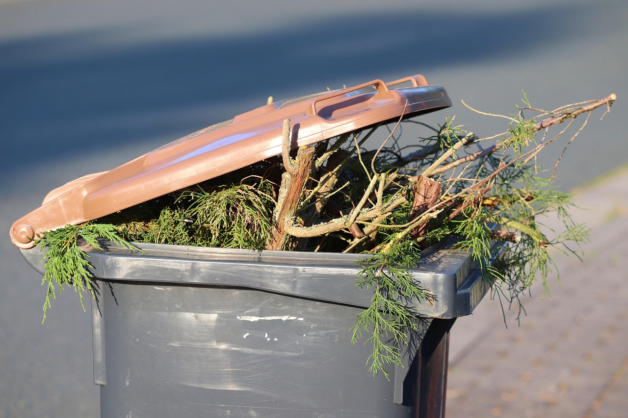 Entretien d'espaces verts - service professionnel
